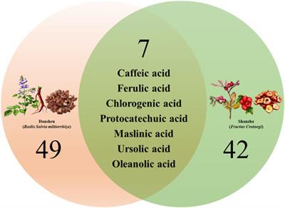 Danshen-Shanzha formula for the treatment of atherosclerosis: ethnopharmacological relevance, preparation methods, chemical constituents, pharmacokinetic properties, and pharmacological effects